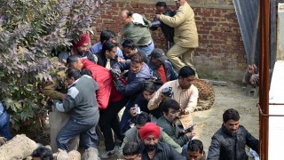India City Panics as Leopard Prowls Streets, Injures 7
