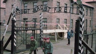 Nazi