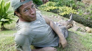 business, walmart, mike rowe, voiceover