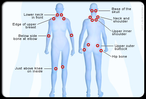 Fibromyalgia—Could a New Scientific Study Hold the Key to Pain Relief?