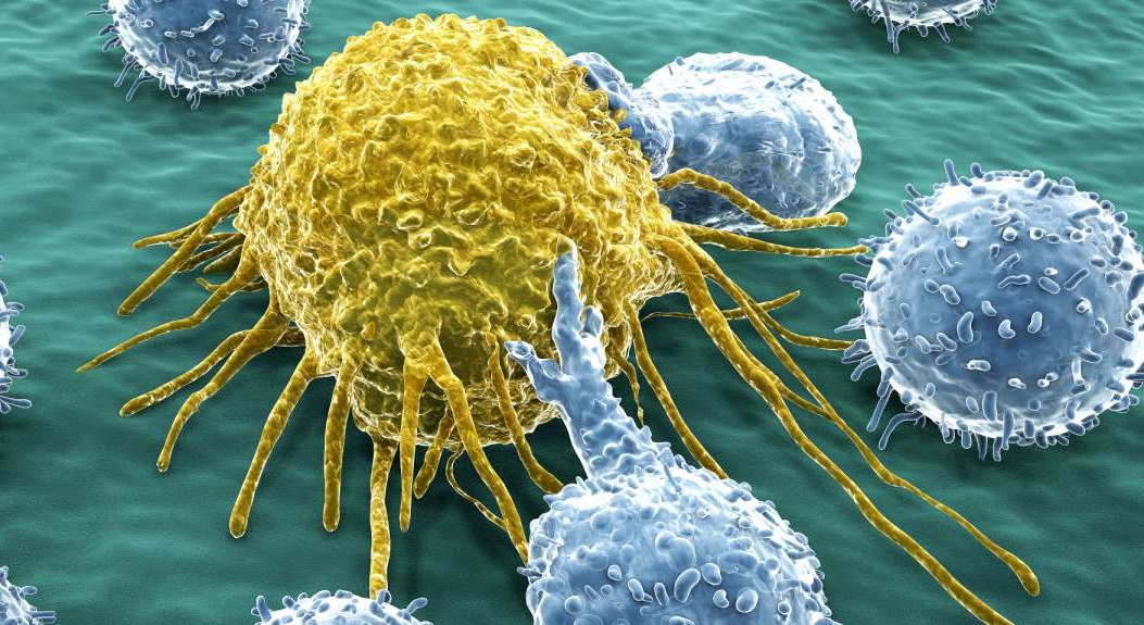 Evidence of Cancer Stem Cells Raises Hopes for Novel Treatments