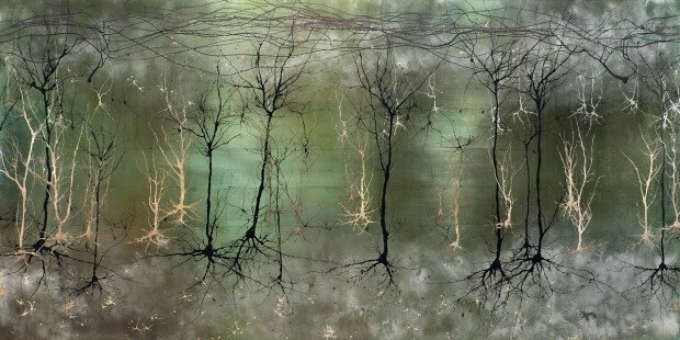 SciVis artwork showing cerebral cortex neurons