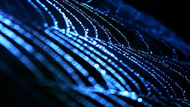 Sticky Spider Silk May Herald Biomedical Adhesives