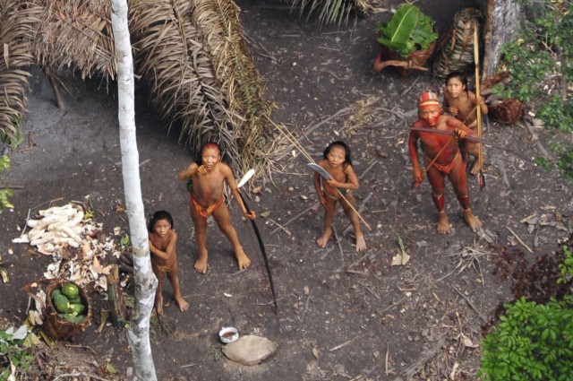 Amazon Indians Make First Contact With Outside World Due to Illegal Logging