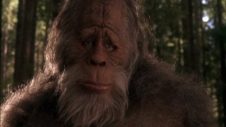 Bigfoot Why Do People Still Believe