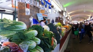 Grocery Shopping on a Budget