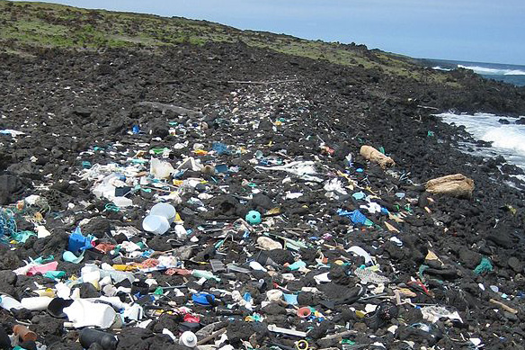 Ocean Plastic Polluting Global Food Chain