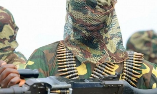 Boko Haram Kidnaps Dozens of Boys and Men From Village