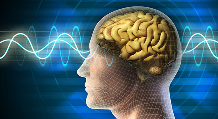 Hope for Memory Loss: Electrical Stimulation of the Brain