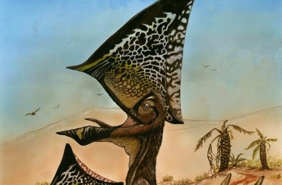New Flying Reptile Discovered in Pterosaur Boneyard
