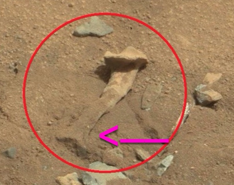 Thigh Bone Found on Mars?