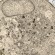 Mysterious Cloud-Like Blobs Gather Inside Cells Researchers Call for Investigation