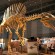 Quack Quack Growl! Dinosaur Spinosaurus Was Half Duck Half Crocodile