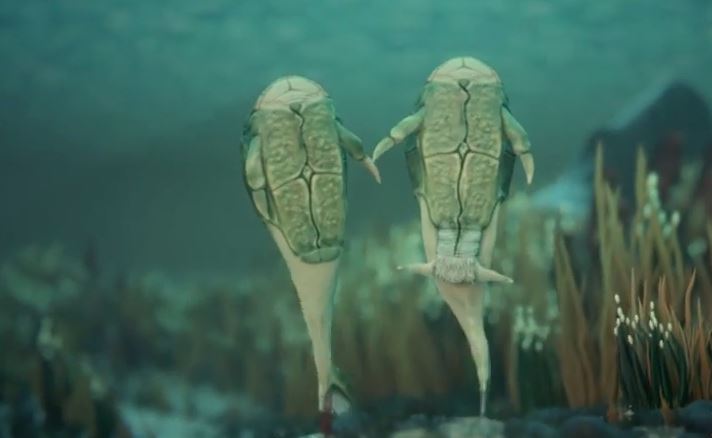 Ancient Fish Reveal Earliest Origins of Intercourse (Video)