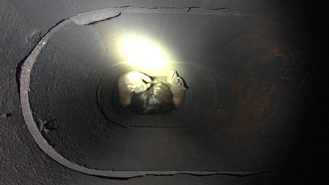 California Woman Genoveva Nunez-Figueroa Gets Stuck in Chimney