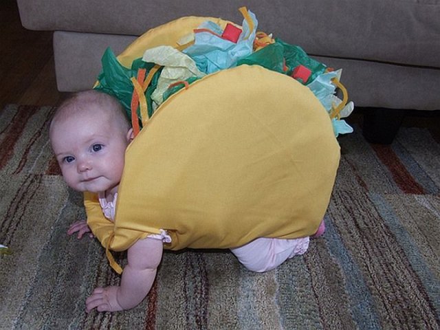 Photo credit @coolpicturegallery.net. What a munchie crunchie little cute taco!