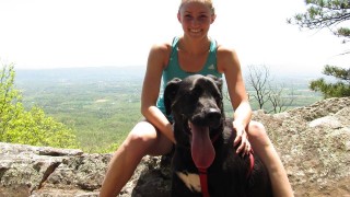 Stolen Dog Help Louie get Home