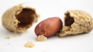 Peanut allergies can lead to fatal side effects