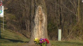 A tree in Iowa in which people claim they see the Virgin Mary