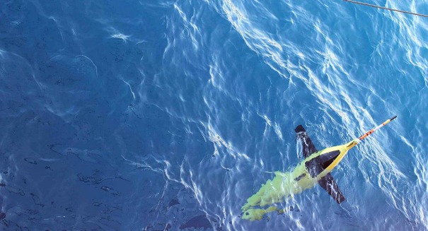 Robotic Gliders Provide Insight into Antarctic Melt