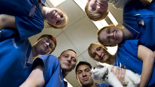 Hospital staff in blue coats hold up a cat to help a patient