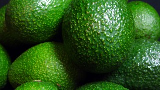 Avocados