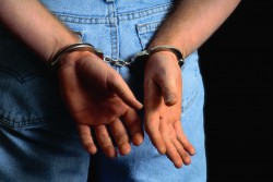Florida Man Touting Shirt of Having Drugs Arrested in Kmart on Possession