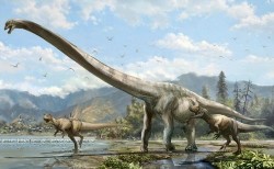Massive ‘Dragon’ Dinosaur, Qijianglong Guokr, Discovered By Chinese Farmers (Video)