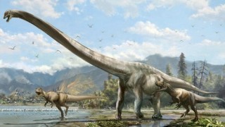 Qijianglong mamenchisaurid dinosaur rendering