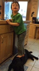 Sarah Palin's son steps on the family dog