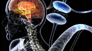 Parkinson's Disease brain and cynapse