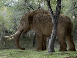 Two Michigan Men Discover Mastodon Bones in Backyard