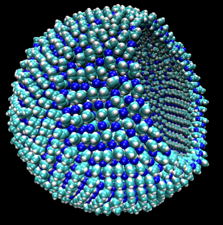 Azotozome of Titan cell