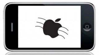 Pictured is a photostock iPhone with a bug touch