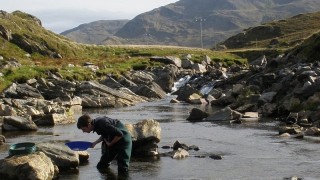 Dr Standish panning river in Cornwall