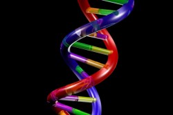 DNA ‘Data Explosion’ Reveals Genetic Roots Of Today’s Europeans
