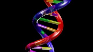 DNA Data Explosion Reveals Genetic Roots Of Today's Europeans