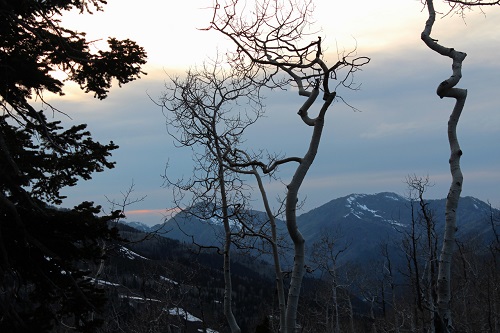 Pluto Time in Big Cottonwood Canyon Utah