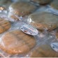 Photo of cannabis cookies