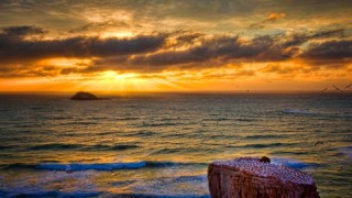 Marine plankton illuminate clouds
