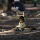Child living in squalor